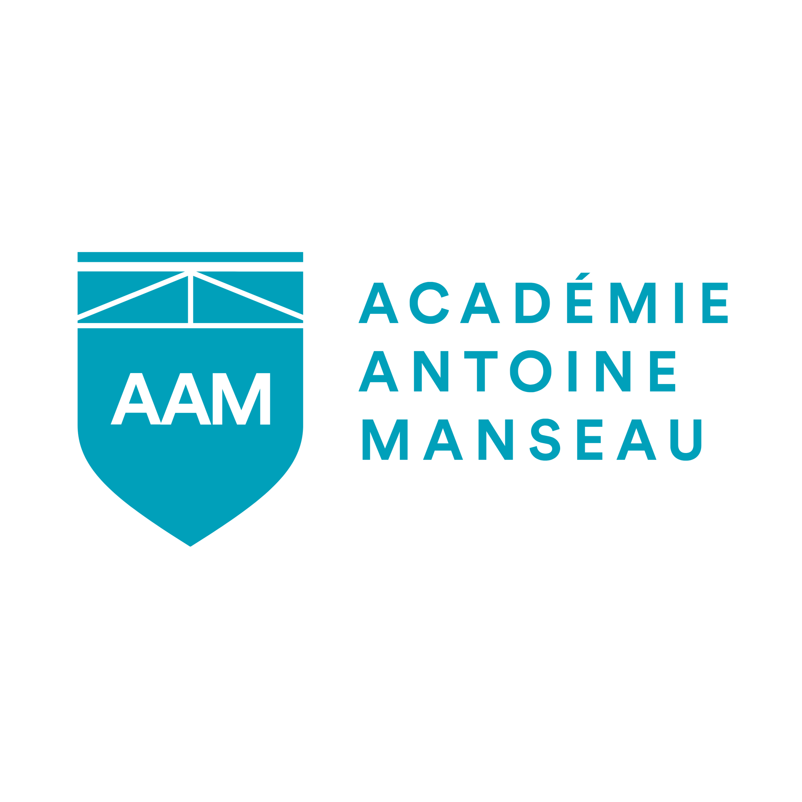 AAM_Logo_horizontal sans slogan